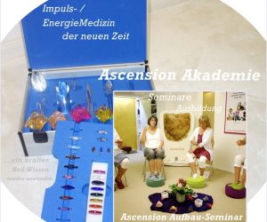 Ascension-Seminare-Ausbildungen
