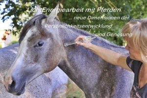 Pferde-LichtEnergiearbeit-mit-LichtKristall-Werkzeugen