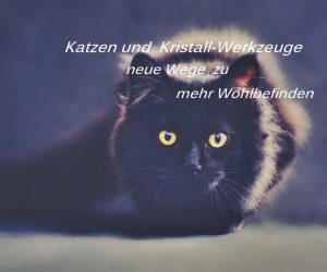 Katzen-lichtkristall-werkzeuge - cat-pixabay 694730