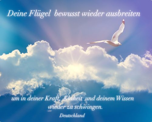 seagull-5339266_1920 - Deutschland I Ascension -Deutschland
